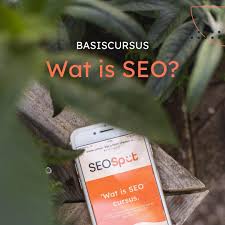 beste seo cursus