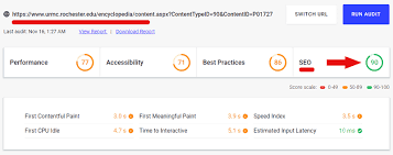 seo score